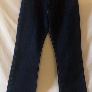 Tommy Hilfiger Size 5/30 Dark Wash 5 Pocket Denim Tommy Jeans Flawless Y2K Jrs